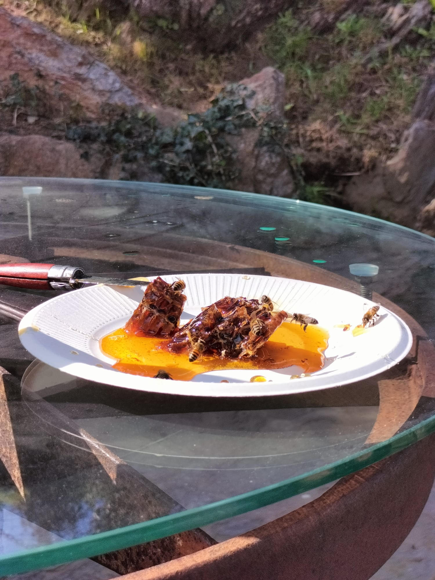 Queijo de Cabra de Melgaço